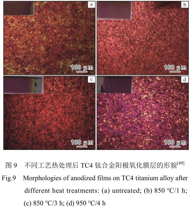 钛及钛合金阳极氧化膜层显色影响因素研究希望
