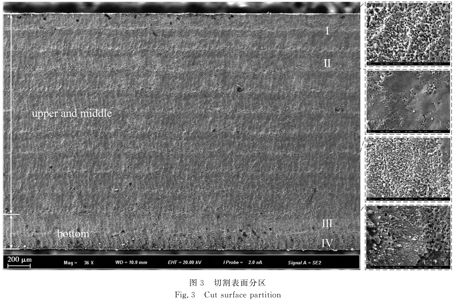 水导激光切割TC4钛合金板外貌形貌特征剖析