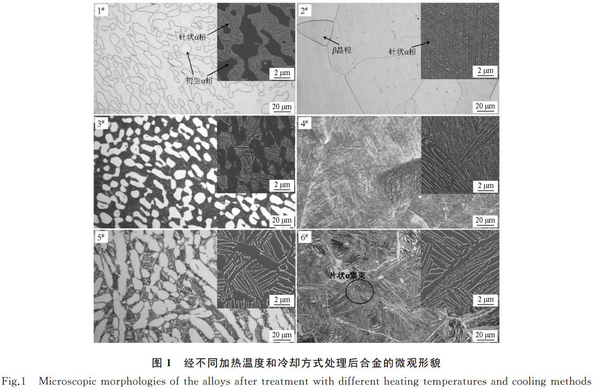 面向航空航天紧固件应用的TC11钛合金在960℃/1000℃加热及水冷/空冷/炉冷三种冷却方法下的微观组织演变——展现冷却速率对相变机制的影响，，，，，，明确空冷单相区工艺强度最优，，，，，，为工业化热处置惩罚提供实验依据